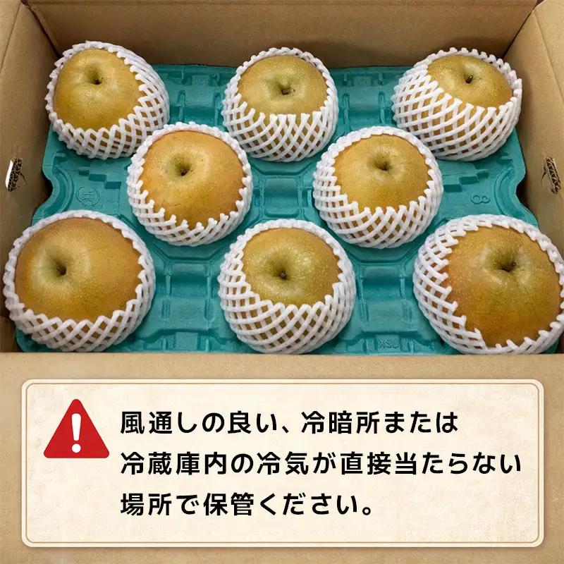 『先行予約』【令和8年7月上旬より順次発送】唐津産 梨 5kg【旬の味覚】幸水 豊水