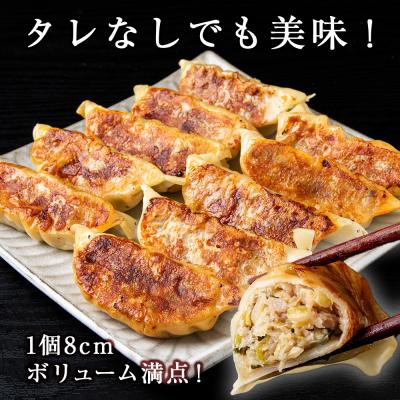 ふるさと納税 知内町 知内ニラ餃子(10個入り)2袋【知内観光協会】 |  | 02