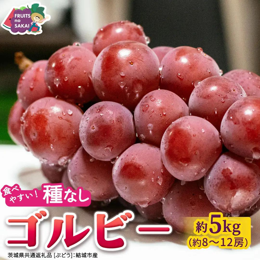 ゴルビー 約5kg(約8～12房)【2026年9月より発送開始】（茨城県共通返礼品 [ぶどう]：結城市産） │ ぶどう 赤ぶどう 高級 希少品種 大粒 甘い 果物 フルーツ 旬