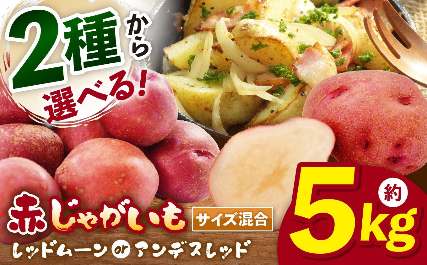 
            【選べる品種】兵庫安心ブランドのじゃがいも S～L混合サイズ約5㎏ 栽培期間中農薬・化成肥料不使用 | レッドムーン アンデスレッド 兵庫県 上郡町
          