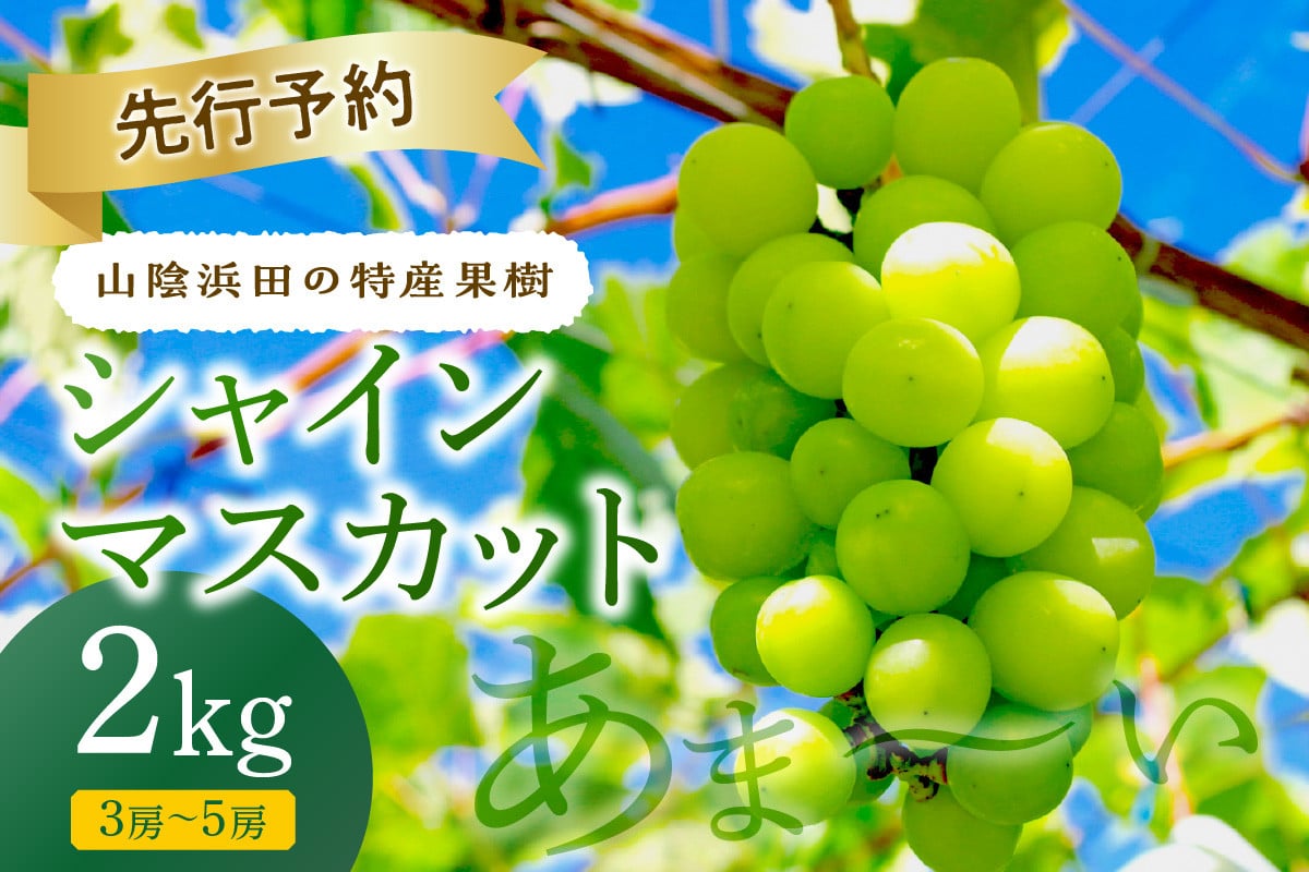 
            【2025年産】山陰浜田の特産果樹「シャインマスカット」2kg＜8月下旬から発送開始予定＞ 【010_1946】
          