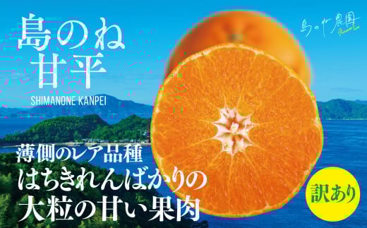 【先行予約】【訳あり】島のね農園の甘平(4kg)【KB01600】