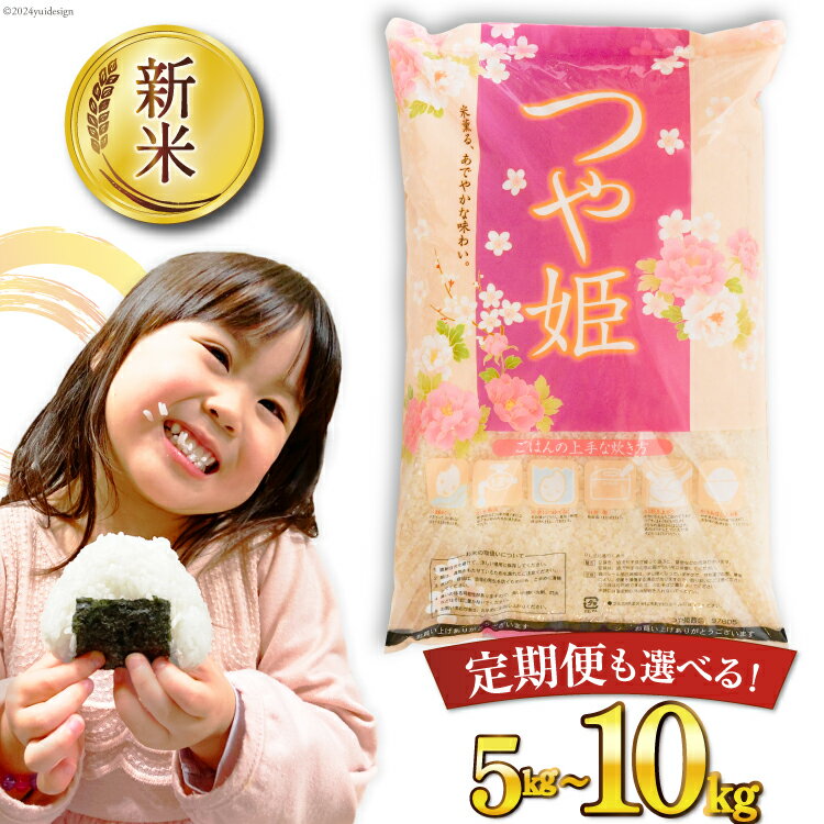 【ふるさと納税】 【選べる内容量】 米 令和7年産 宮城県産 つや姫 5kg 10kg [気仙沼米穀商業協同組合 宮城県 気仙沼市 20564658] 一等米 ブランド米 白米 精米 ご飯 ごはん コメ こめ 小分け 家庭用