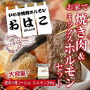 【ふるさと納税】ギフト用【無地熨斗】【味付き焼肉セット】＆【新鮮ホルモン】食べ比べセット！容量800g入り！