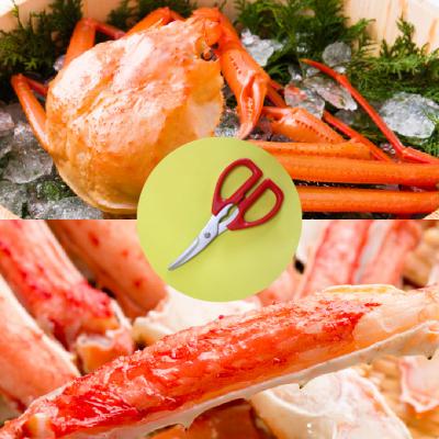 ふるさと納税 関市 かにはさみ　カニハサミ　かにハサミ　かに鋏　 |  | 03