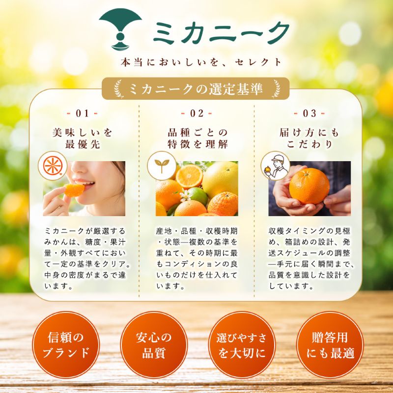 【安心して選べる】 甘酸っぱい爽快感 【甘夏】 8kg 愛媛県産 【2027年3月中旬頃から順次発送】 | みかん ミカン mikan 蜜柑 訳ありフルーツ 柑橘 果物 おすすめ お勧め お取り寄せ 