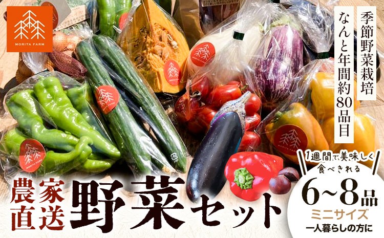 
            野菜 農家直送 新鮮 野菜 セット ミニサイズ 6～8品 《30日以内に出荷予定(土日祝除く)》 森田農園 青果物 やさい 千葉県 流山市
          
