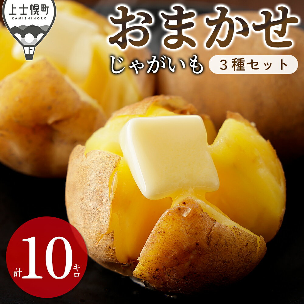 【ふるさと納税】2026年産 先行予約 北海道産 おまかせ じゃがいも 4種セット 計10kg（2.5kg×4種） 北海道 上士幌町 加藤農場 野菜 馬鈴薯 産地直送 ◆2026年12月配送予定