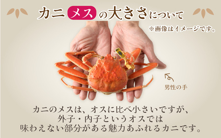 【訳あり】釜茹で　蟹好き集まれ！せいこがに（オオズワイガニ・メス）【甲羅盛60g前後 3個セット】 [A-096018] 
