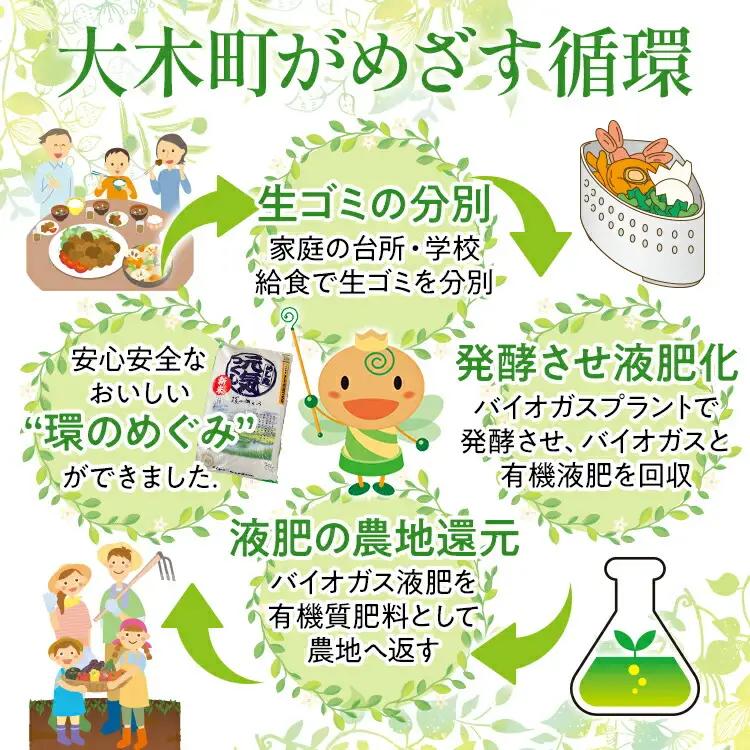 米 特別栽培米「環のめぐみ」5㎏ AI001