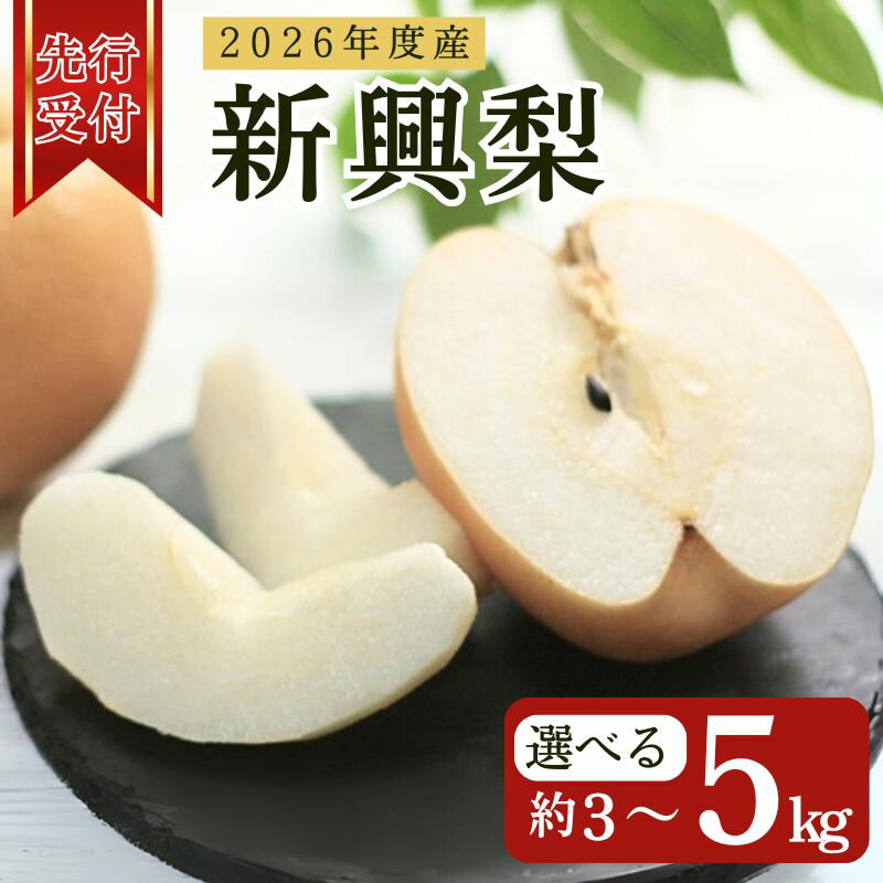 【ふるさと納税】先行予約 2026年度 京都府産 新興梨 約3kg 約5kg 梨 なし ナシ フルーツ 果物 くだもの 旬 甘い 糖度 秋 JA JA京都 農協 京都 京都府 京丹後産 直送