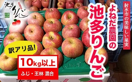 【射水のおいしい果実】【林檎】 よねだ農園の池多りんご ふじ・王林 訳アリ品10kg以上 ※2026年11月～発送