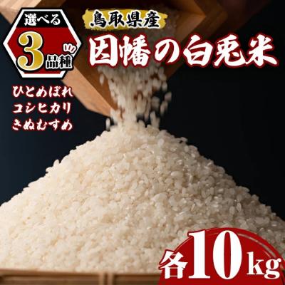 ふるさと納税 境港市 【因幡の白兎米】令和7年産米ひとめぼれ10kg(5kg×2袋)