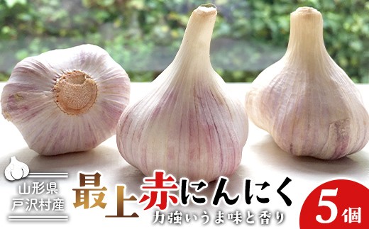 山形県 戸沢村産 最上赤にんにく 5個 約250g 国産 野菜 やさい 大蒜 ニンニク ストック 保存 自宅 家庭 F7W-0501