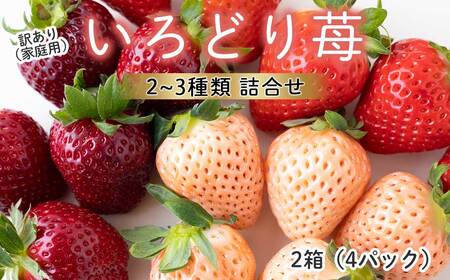 【2月～4月 順次配送】玄海町産いろどりいちご詰め合わせ（家庭用・訳あり）【B190】