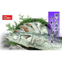 【ふるさと納税】鰆 朝獲れ 鰆の切り身 12切れ（4切れパック×3袋） 瀬戸内海産［薄塩加工済み］冷凍品 さわら | 香川 四国 楽天ふるさと 納税 返礼品 食品 さわら サワラ 鰆 切り身 きりみ 魚介類 魚介 海の幸 海産物