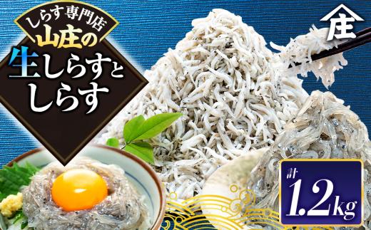 生しらす 200g 訳ありしらす干し 1kg セット 冷凍 刺身 真空パック しらす干し 炒飯 パスタ ごはん 丼 サラダ 魚 料理 愛知県 南知多町 師崎 シラス しらす 小魚 魚貝 魚貝類 しらす シラス 海鮮 しらす丼 シラス丼 ふるさと納税しらすしらす おすすめ 大人気 南知多産しらす愛知県産しらす シラス しらす しらすごはん shirasu sirasu SIRASU 人気シラス