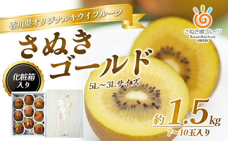 キウイ さぬきゴールドキウイ 化粧箱 キウイ【1.5kg】