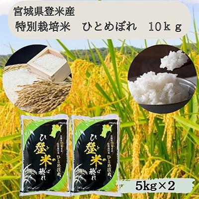 ふるさと納税 宮城県 【令和7年産】宮城県登米市産　特別栽培米ひとめぼれ10kg(5kg×2)