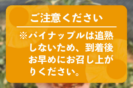 《2024年6月まで発送》最高糖度18度！？ 石垣島産完熟スナックパイン 2個セット 【 沖縄県 石垣市 石垣島 完熟 パイン パイナップル スナック 産地直送 】TF-23