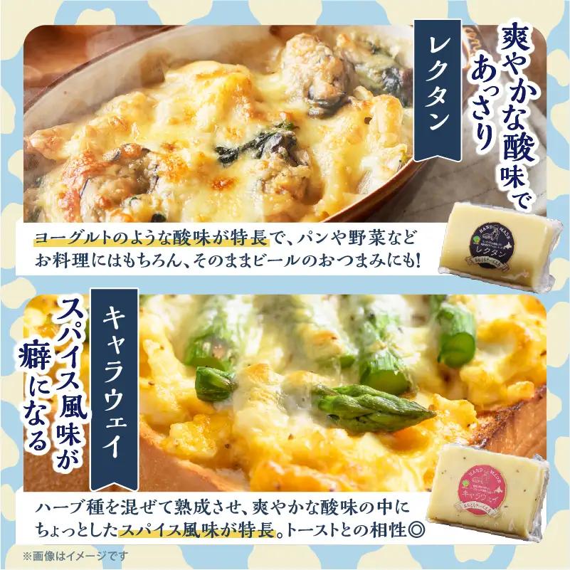《10日以内発送》 チーズ詰め合わせ チーズ_H0003-101