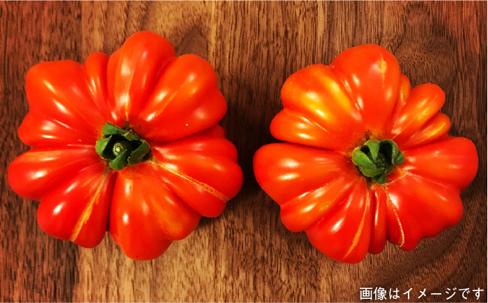 朝採り季節のオーガニック旬野菜お任せ5品＋糸島産の大ヒット特産加工品2品の計7品セット [AGE028]