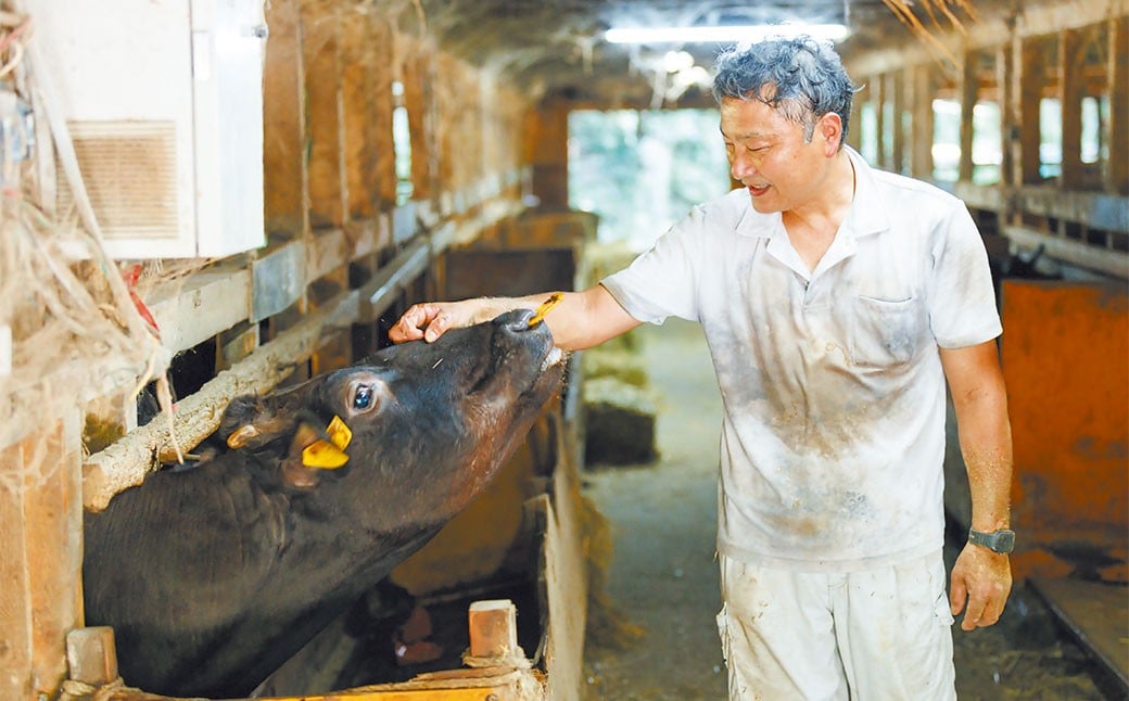 先行予約 武藤牧場 直売店 山嘉 【 黒毛和牛 】 山嘉牛 すきやき 約1kg 【 2025年12月22日発送 】 