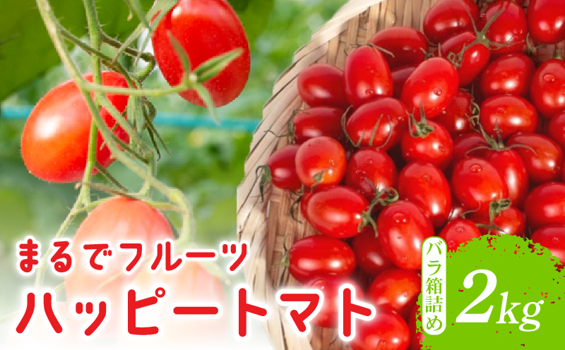 【先行受付開始】ハッピートマト2kg