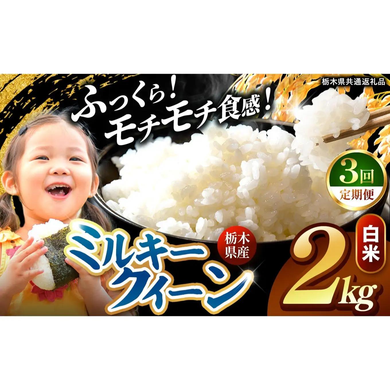 【定期便3回】栃木県産 ミルキークイーン 白米 2kg 2026年 先行予約 | 栃木県 矢板市