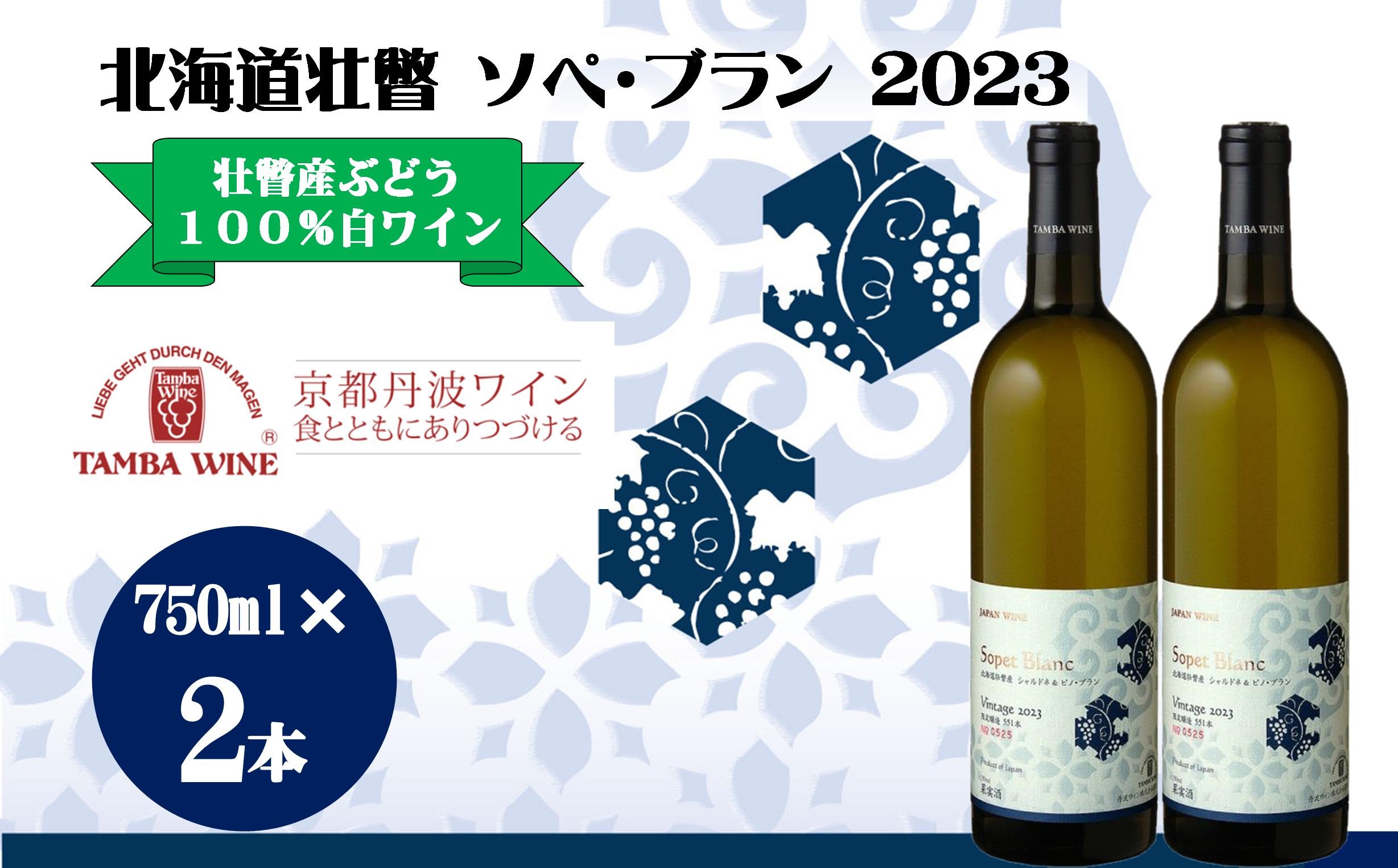 
            北海道壮瞥産 ソペ・ブラン2023(辛口白ワイン) 750ml×2本 【 ふるさと納税 人気 おすすめ ランキング 北海道 壮瞥 ワイン シャルドネ ピノ・ブラン ぶどう 葡萄 酒 白 辛口 贈り物 贈物 贈答 ギフト 大容量 詰合せ セット 北海道 壮瞥町 送料無料 】 SBTA085
          
