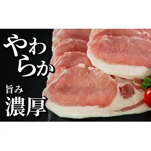 《定期便》長崎県産豚 ロース生姜焼き用 計1kg (500g×2)【12回お届け】
