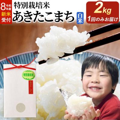 ふるさと納税 大仙市 令和8年産 新米 特別栽培米 あきたこまち 2kg|22_oks-110201s