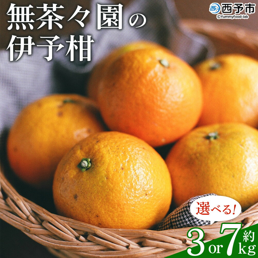 【ふるさと納税】先行予約 ＜無茶々園の伊予柑 約3kg／7kg＞ 果物 いよかん イヨカン みかん ミカン 蜜柑 柑橘 フルーツ 選べる内容量 期間限定 季節限定 特産品 愛媛県 西予市【常温】『2026年1月～2月に順次出荷予定』