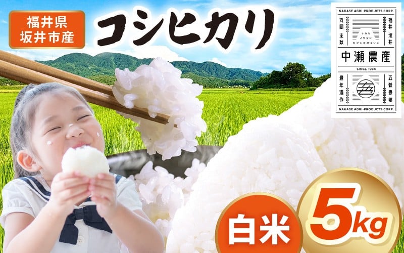 
            【先行予約】【令和8年産・新米】 坂井市産 コシヒカリ 白米 5kg (中瀬農産) 【2026年10月以降順次発送予定】 【米 こめ お米 精米 ブランド米 こしひかり 国産】 [A-20507]
          
