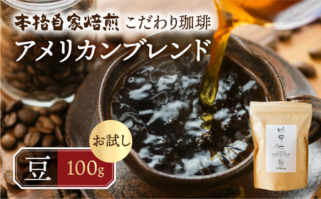 お試し コーヒー 100g 【豆】 ( アメリカン) お試し