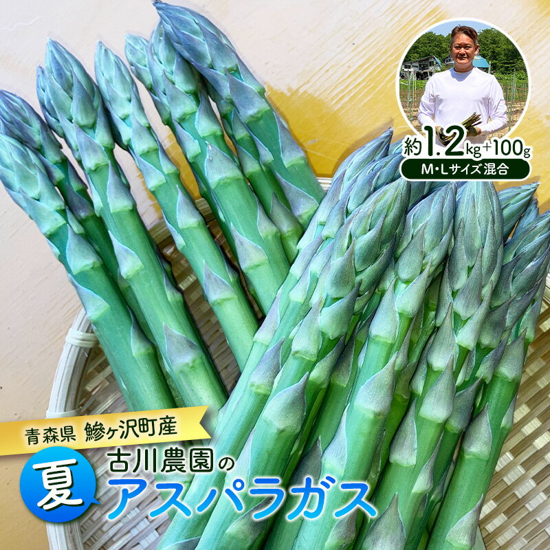 【ふるさと納税】夏アスパラガス 約1.2kg ＋100g M～L 混合 古川農園 ※オンライン決済限定 野菜 アスパラガス アスパラ 栄養豊富 ほんのり甘い 肉質しっかり あっさりとした食味 おつまみ 料理 お弁当 食材　お届け：2026年7月下旬～2026年8月下旬