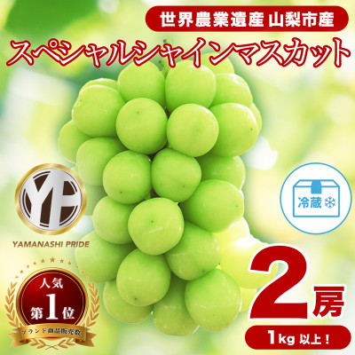 フルーツ王国山梨産厳選 シャインマスカット   2房 (1kg以上)【配送不可地域：離島】【1108669】