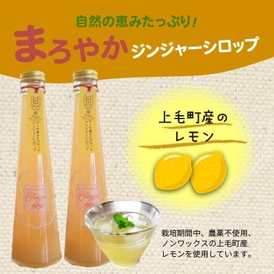 ふるさと納税 上毛町 【上毛町産レモン使用】ジンジャーシロップ　2本セット |  | 01