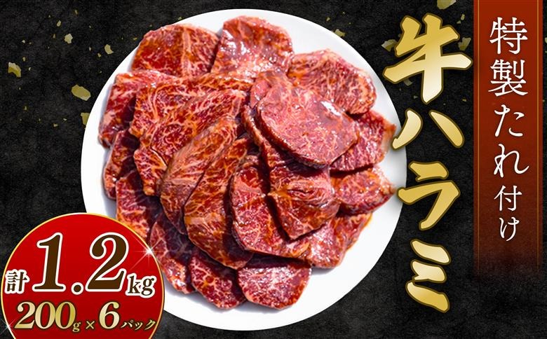 自家製 牛ハラミ たれ漬け 200g×6パック 計1.2kg 訳あり 数量限定 牛肉 焼肉 焼き肉 BBQ バーベキュー ハラミ肉 タレ漬けハラミ 小分け 【(有)山重食肉】（室戸海洋深層水塩使用）