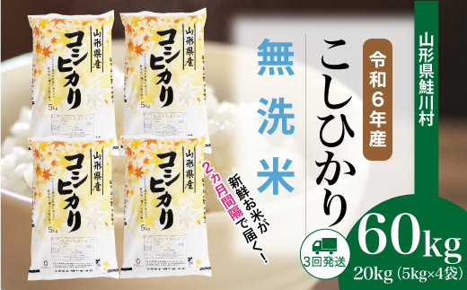 ＜令和6年産米＞ 令和7年4月中旬より配送開始 コシヒカリ【無洗米】60kg定期便(20kg×3回)　鮭川村