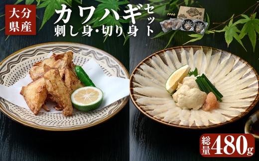 大分県産 カワハギ 刺身 ・ 切身 セット (総量480g) かわはぎ 刺し身 切り身 鍋 小分け 冷凍 魚 国産 【opbe001】【水元】