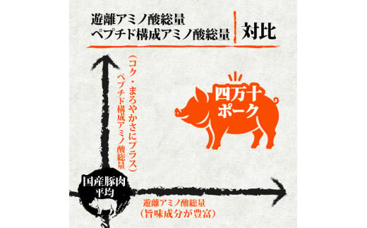 【定期便12回】四万十ポークスライス 計7.2kg（600g×12ヶ月連続お届け) 2Aコース | 豚肉 豚バラ肉 小分け 小間切れ スライス 切り落とし 冷凍 真空パック 簡単調理 細切れ 大容量 