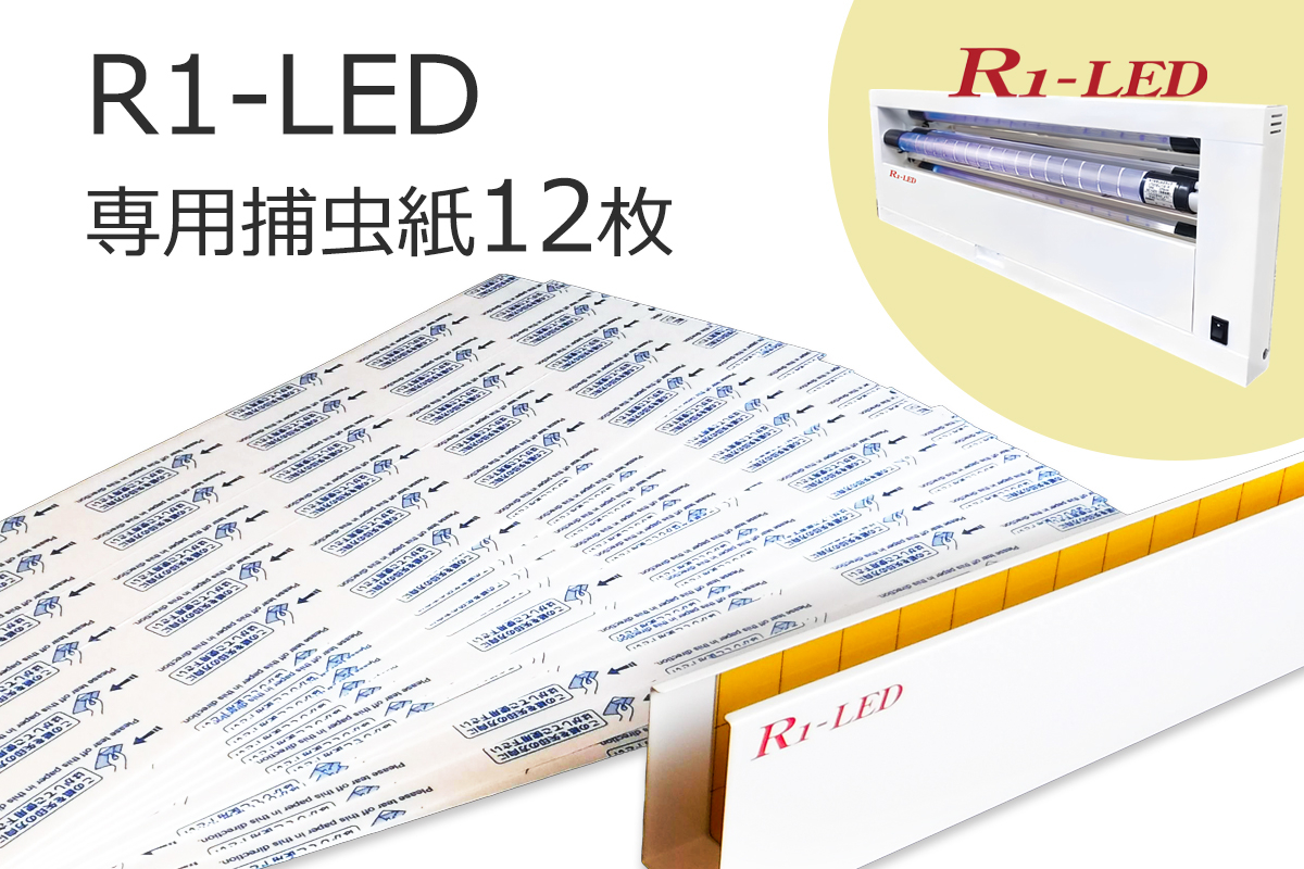
            R1専用捕虫紙 12枚｜害虫 駆除 捕獲 捕虫 殺虫 虫 キャッチャー LED 業務用 強力 フジ環境サービス [0765]
          
