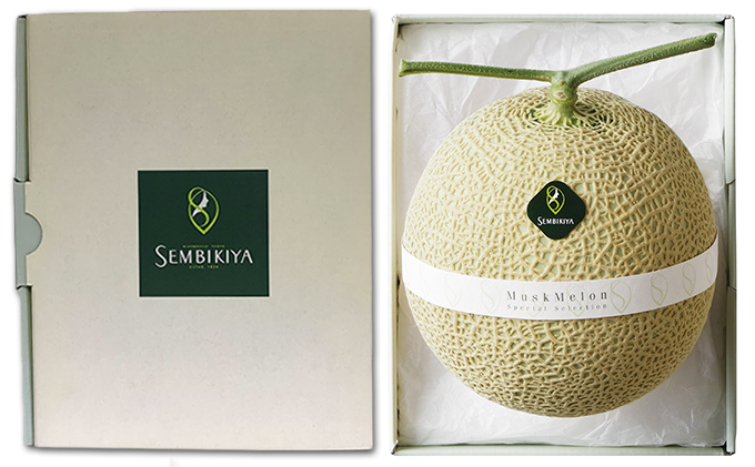 マスクメロン 1玉 1.3kg 日本橋 千疋屋総本店 メロン めろん 果物 くだもの フルーツ 旬の果物 旬のフルーツ 高級フルーツ 青肉 静岡クラウンメロン 千疋屋 デザート 静岡 静岡県 浜松市 