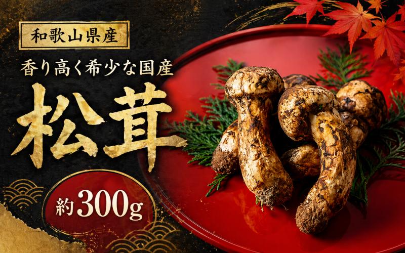 
            和歌山県産 香り高く希少な国産 松茸 約300g【2026年10月中旬頃～11月中旬頃に順次発送】【OKT2】
          