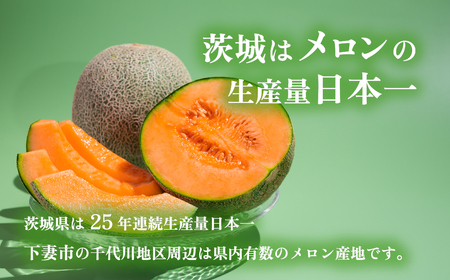 12-20茨城県産タカミレッドメロン約2kg（2個）【2024年5月中旬～6月下旬ごろ発送予定】