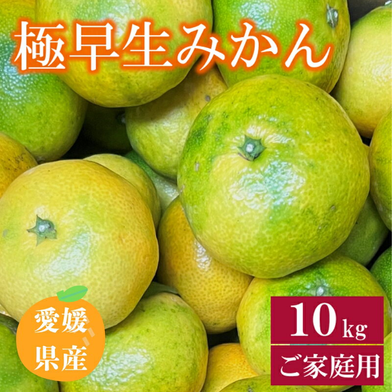 【ふるさと納税】極早生みかん 10kg ご家庭用 農園直送 先行予約 10月発送 愛媛 数量限定 愛媛県産 人気 柑橘 伊予市｜B254