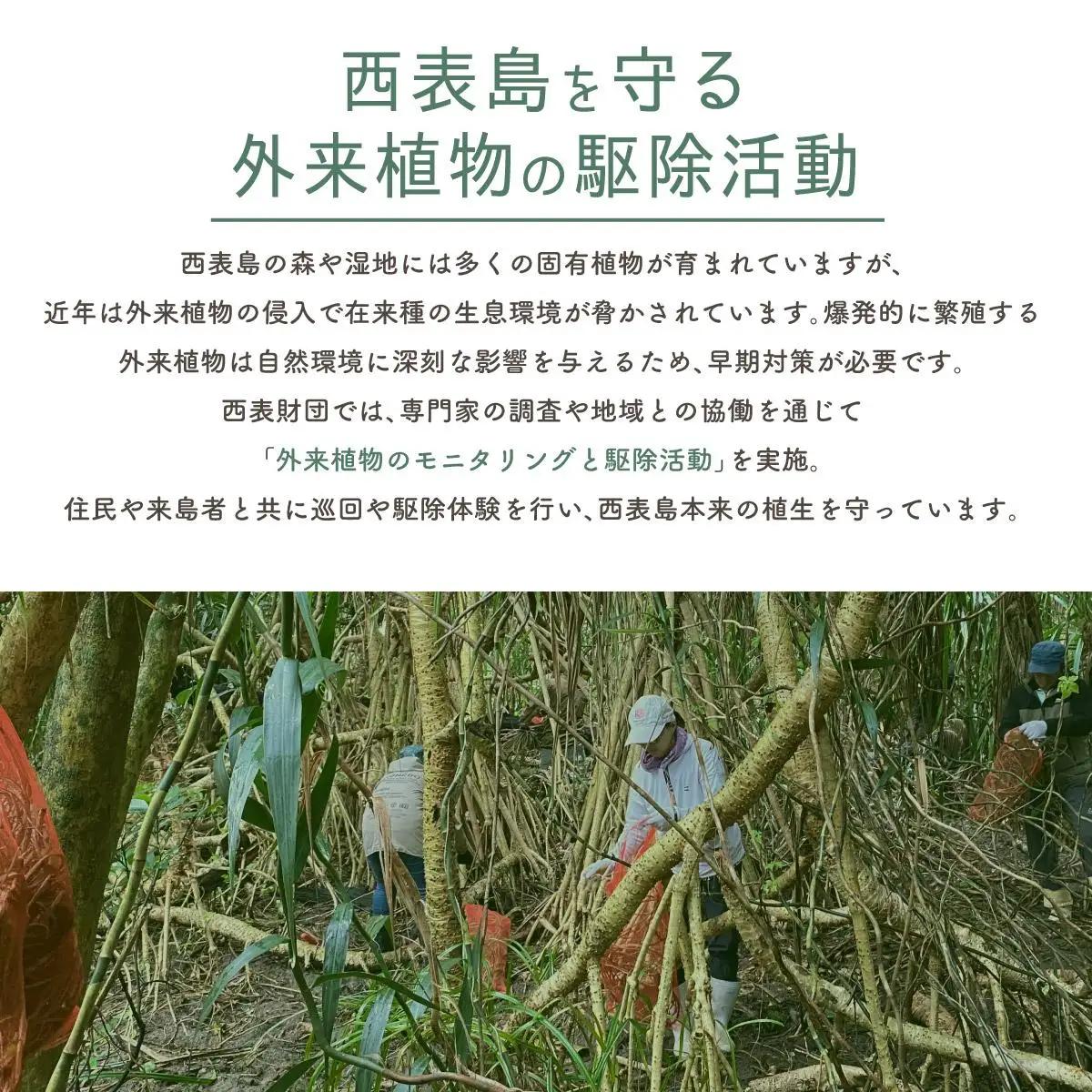 一般財団法人西表財団 感謝状＋西表島フォトコンテスト「西表島カレンダー」付