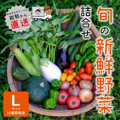 ふるさと納税 能勢町 『大阪能勢産』　農家直送!べじたぶるぱーくの旬の新鮮野菜詰合せ　Lセット(10種類)　