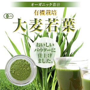 有機青汁パウダーセット(100g×3種)｜粉末青汁 青汁 はと麦若葉 大麦若葉 有機栽培 野菜不足 YF-2
